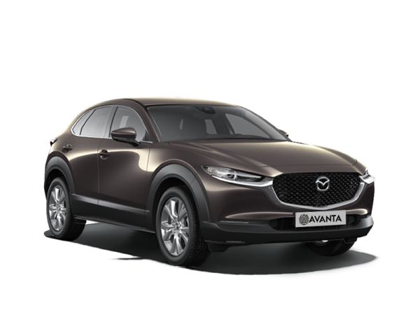 Mazda CX-30 Коричневый